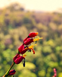 Jerald Peter Photography in Neopit, WI