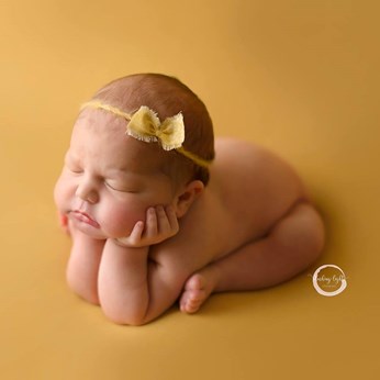 Blushing Lights Photography in Surrey, BC