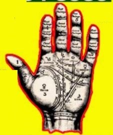 Pandit Vinod Maharaj Indian Astrologer in Toronto, ON