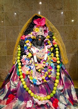 Hindu Society Of Eastern Washington in Seattle, WA