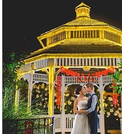 Aisle AI Weddings in Elgin, IL