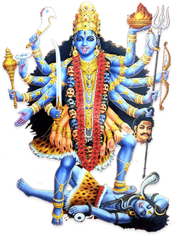 Sai Astrologer in Mississauga, ON