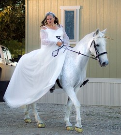 Happy Trails Carriage Service in Prosper, TX