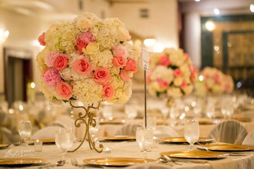 Safari Texas Group in Richmond, TX