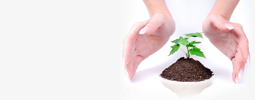 Newbridge Capital Leasing, LLC in Plainview, NY