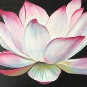 Lotus Salon And Spa