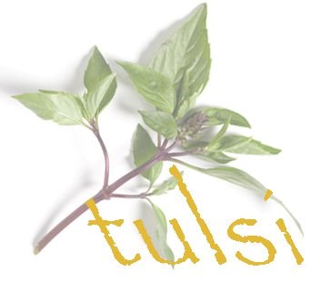 Tulsi Restaurant in Kittery, ME