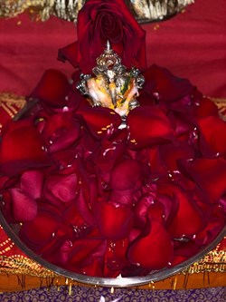 Jago World in Boston, MA