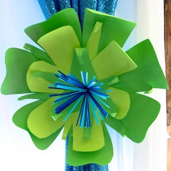 Picture Perfect Parties in Plano, TX