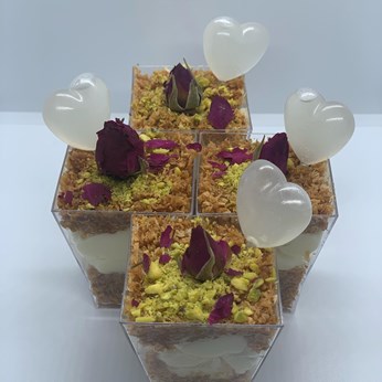 Seila Rose 2019 in Dallas, TX