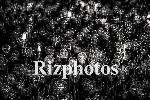 Rizphotos in Ronkonkoma, NY