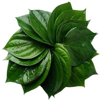 Paan Corner in Decatur, GA