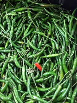 Nepali Wholesale Bazar in Columbus, OH