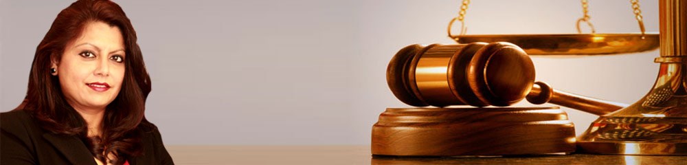 Law Offices Of Seema Mehta in Arlington, TX