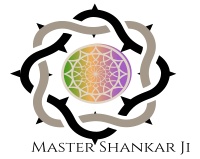 Master Shankarji Astrologer in Mississauga, ON