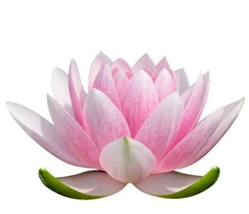 Samskrita Bharati Community Services in Raleigh, NC