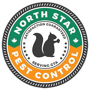 North Star Pest Control in Brampton, ON