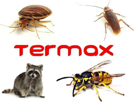 Termax Wildlife Removal And Pest Control in Toronto, ON