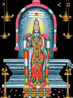 Rudras Foods Pure Indian Vegetarian in Webster, TX