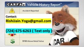 Carfax Report in Edison, NJ
