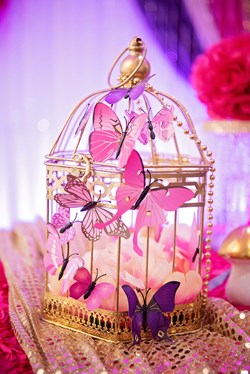 The Magic Touch Bayarea in San Francisco, CA