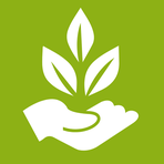 Ace Academy in Dublin, CA