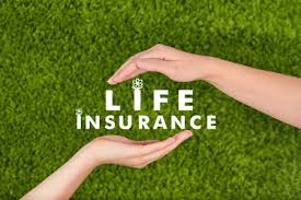 Azeem Abdullah Kanji Insurance Agent