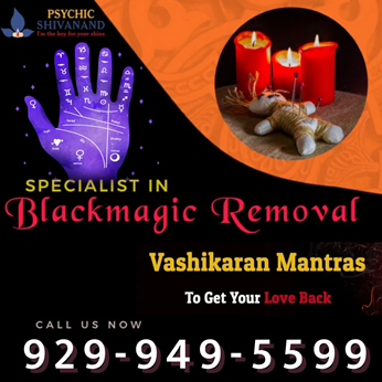 Pandit Shivanand-Best Astrologer In New York. Accurate Psychic Readings With Black Magic Removal