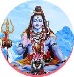 Astrologer Aditya in Anaheim, CA