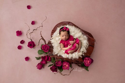 Ashleigh Davis Photography in Novi, MI