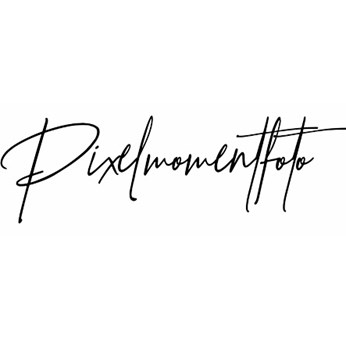 Pixelmomentfoto in Plano, TX