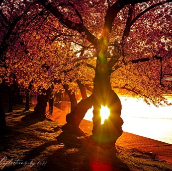 Reflectionsbyph Events in Herndon, VA