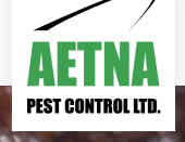 Aetna Pest Control LTD in Toronto, ON