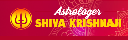 Astrologer Shiva Krishnaji in Brooklyn, NY
