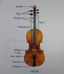 Vani Sateesh - Carnatic Vocal in Orlando, FL