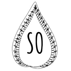 Shaadi Outfitters in Austin, TX