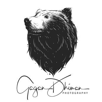 Gagan Dhiman in Roseville, CA