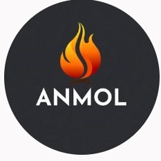 Anmol South Asian Events in Naperville, IL