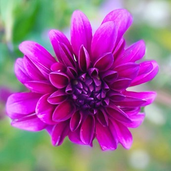 MP Photography in Arlington, VA