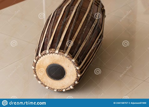 Mrudula Talari Carnatic Music School in San Jose, CA