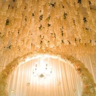 Aab Creation in Nipomo, CA