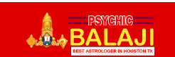 Famous Astrologer Psychic Balaji  in Houston, TX