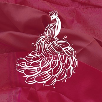 Celebrations By MPJ in Austin, TX