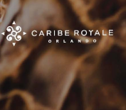 Caribe Royale Wedding in Bascom, FL