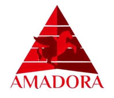 Amadora Insurance in Tampa, FL