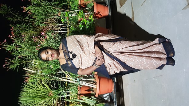 Energetic Tiffin Services in Nipomo, CA