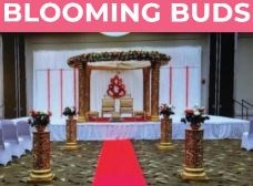 Blooming Buds in Stumpy Point, NC