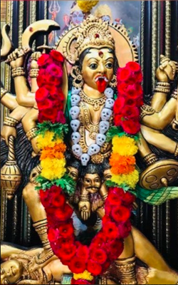 Indian Astrologer In Bay Area (Pandith Suryaji)