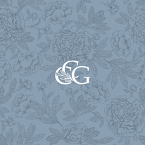 Colina Creative Group in Tampa, FL