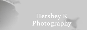 Hershey K Photography in Sacramento, CA